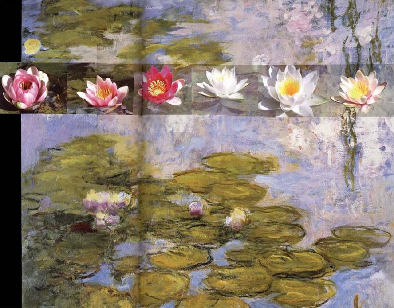  Detail from Water Lilies